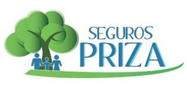 Seguros Priza Internacional S.A. de C.V.